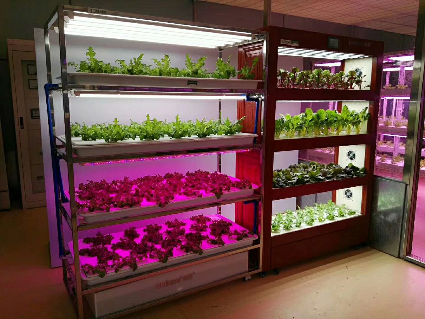 植物冷库